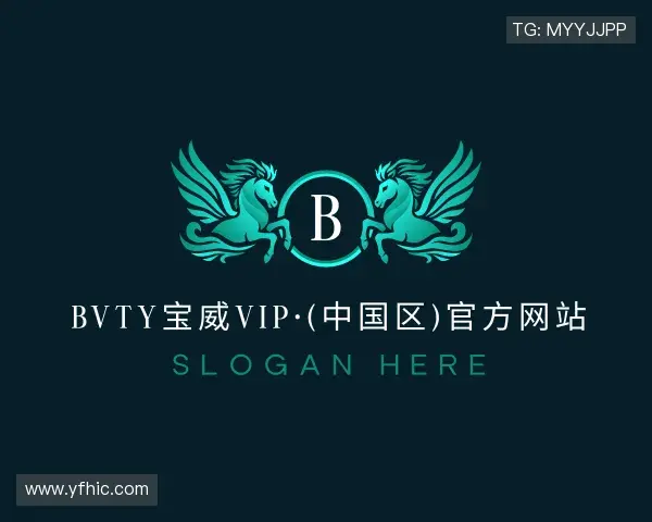 介绍bvty宝威